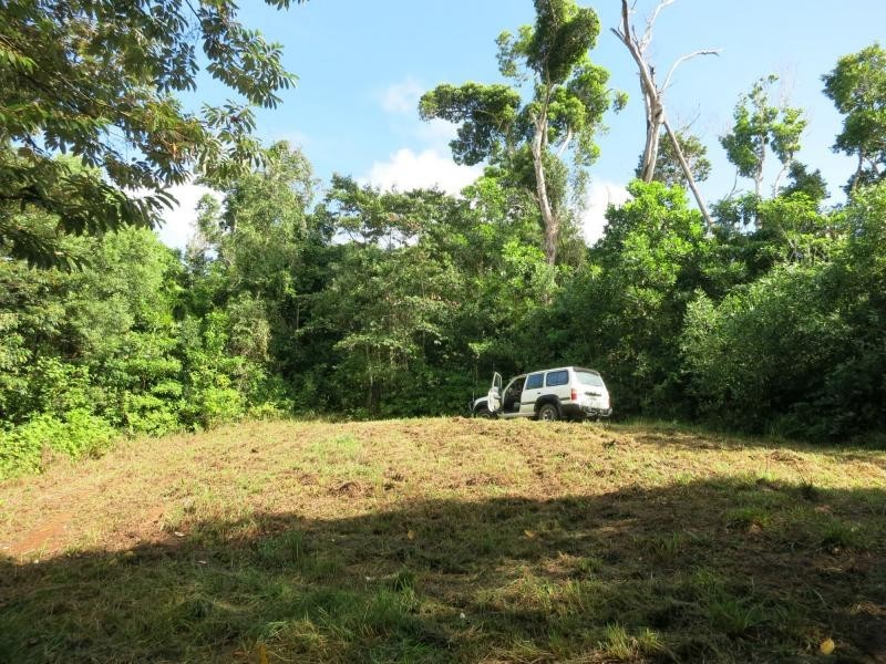 L17 Tully Gorge Road, Tully QLD 4854