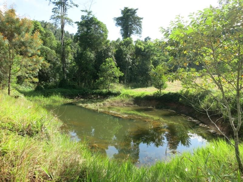 L17 Tully Gorge Road, Tully QLD 4854