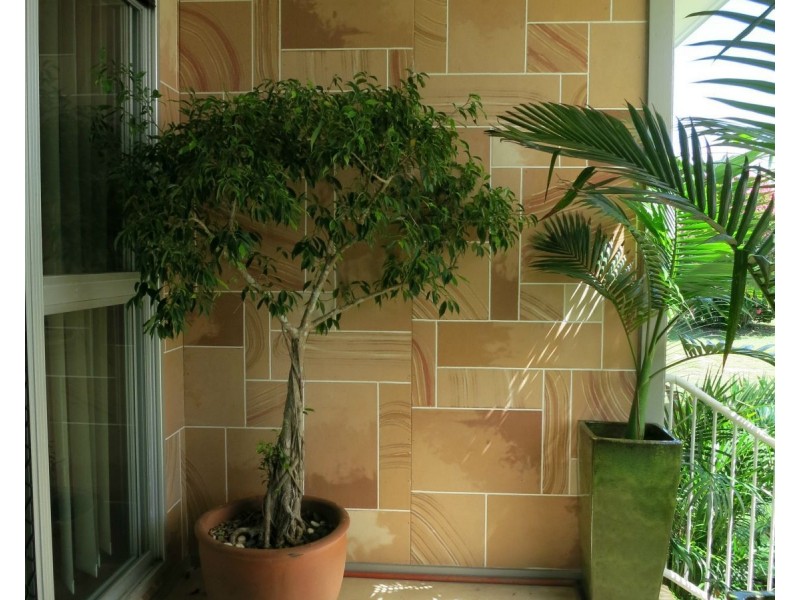 11 Jamieson Street, Cardwell QLD 4849