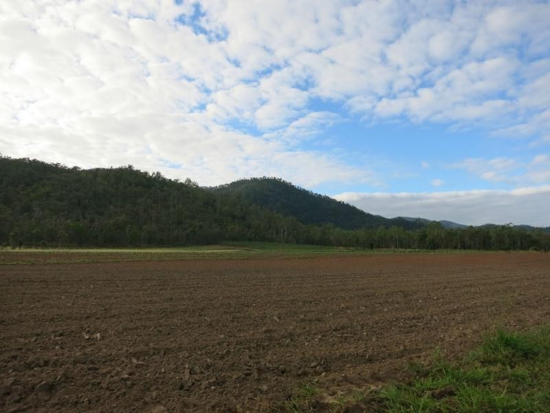 L44 Murray Falls Road, Murray Upper QLD 4854