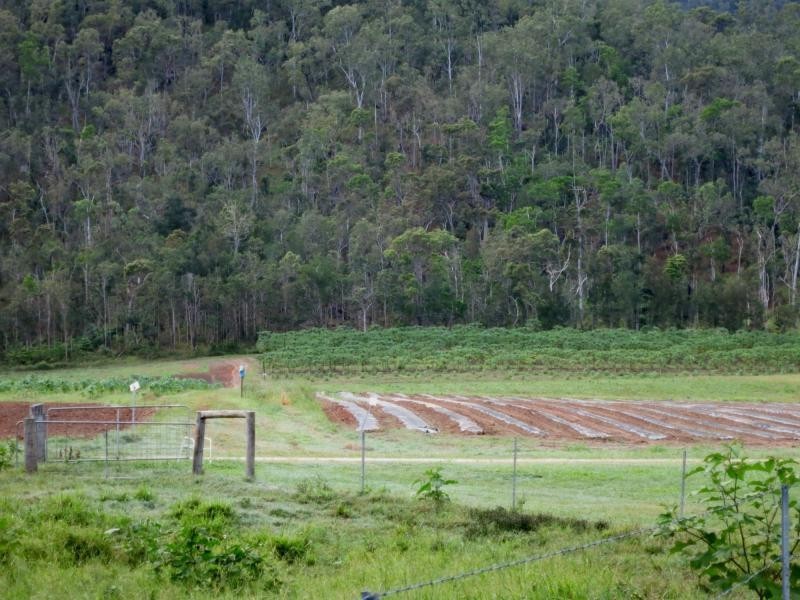 L44 Murray Falls Road, Murray Upper QLD 4854