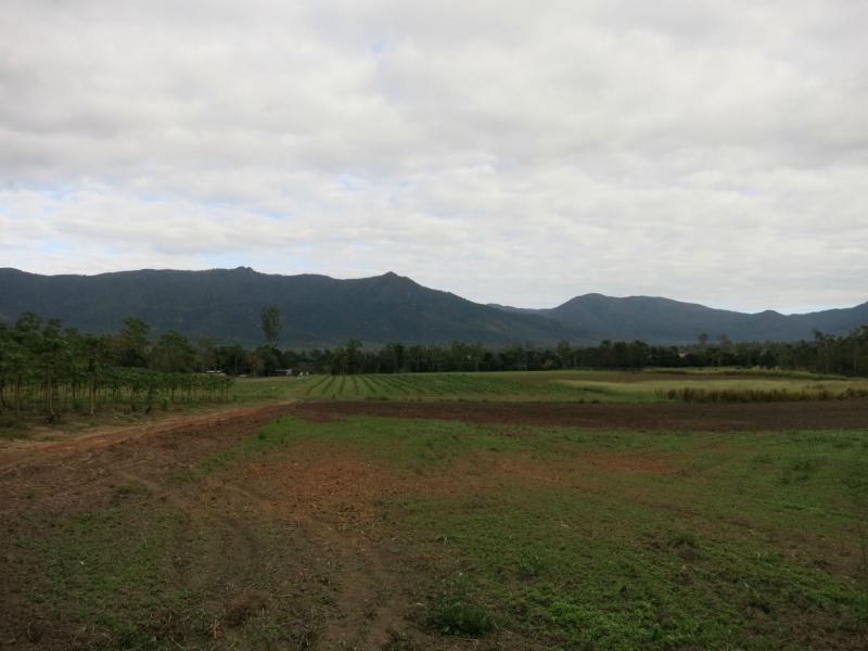 L44 Murray Falls Road, Murray Upper QLD 4854