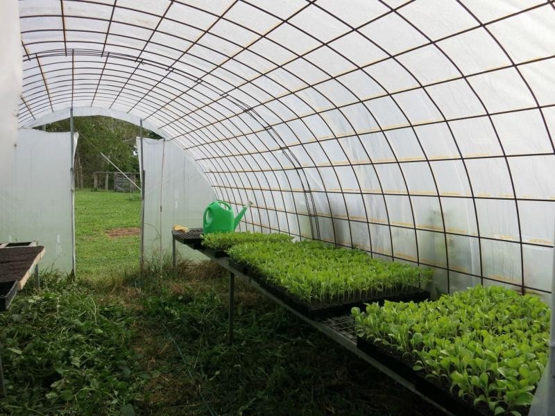 L44 Murray Falls Road, Murray Upper QLD 4854