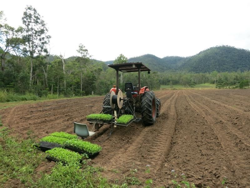 L44 Murray Falls Road, Murray Upper QLD 4854