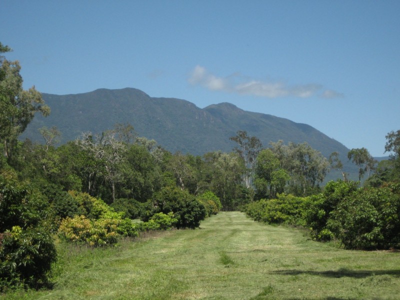 Lot 3 Lily Creek Road, Ellerbeck QLD 4816