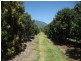 Lot 3 Lily Creek Road, Ellerbeck QLD 4816