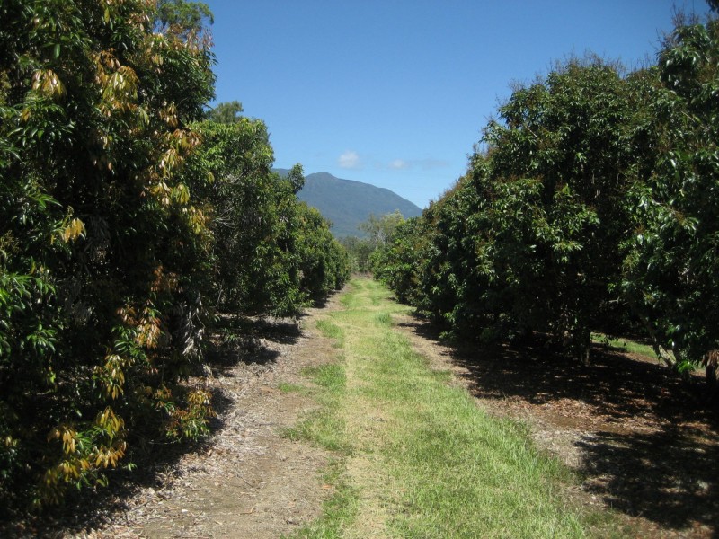 Lot 3 Lily Creek Road, Ellerbeck QLD 4816