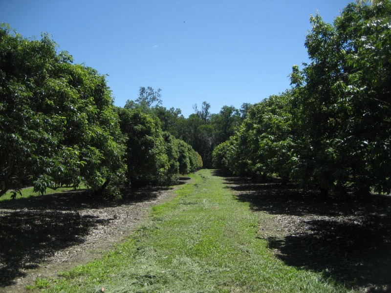 Lot 3 Lily Creek Road, Ellerbeck QLD 4816