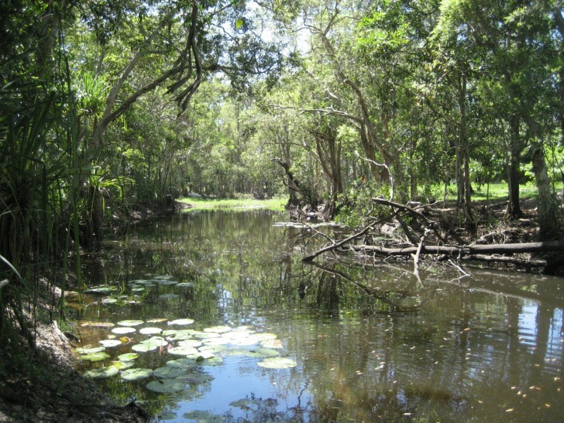 Lot 3 Lily Creek Road, Ellerbeck QLD 4816