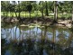 Lot 3 Lily Creek Road, Ellerbeck QLD 4816