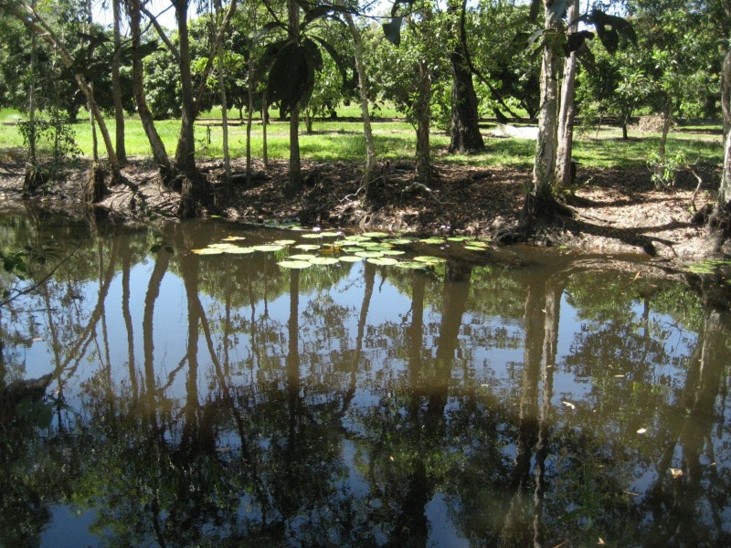 Lot 3 Lily Creek Road, Ellerbeck QLD 4816