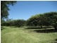 Lot 3 Lily Creek Road, Ellerbeck QLD 4816