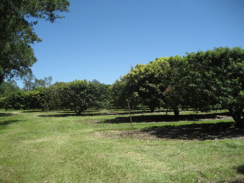 Lot 3 Lily Creek Road, Ellerbeck QLD 4816