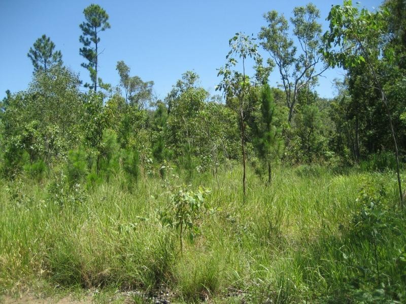 2 Stony Creek Road, Cardwell QLD 4849