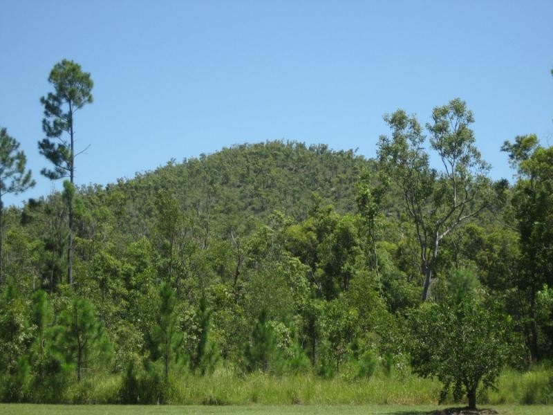 2 Stony Creek Road, Cardwell QLD 4849