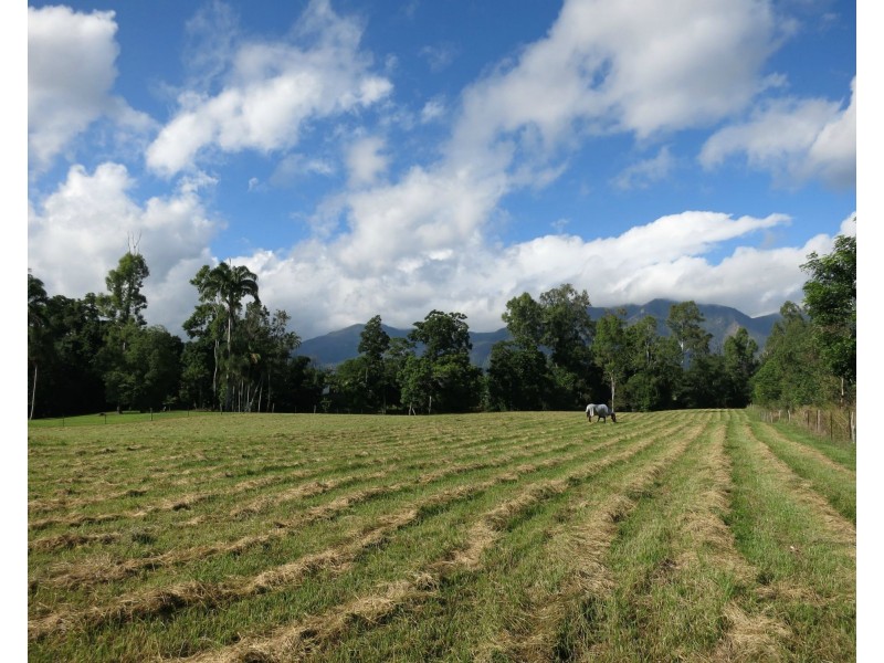 Lot 4 Sullivan Road, Carruchan QLD 4816