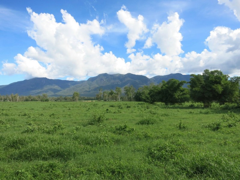 Lot 1 Ellerbeck Road, Carruchan QLD 4816