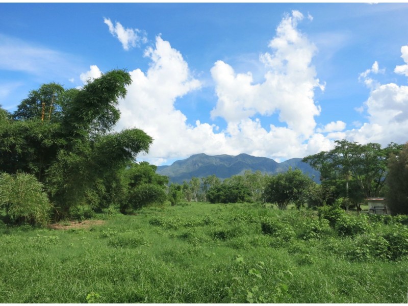 Lot 1 Ellerbeck Road, Carruchan QLD 4816