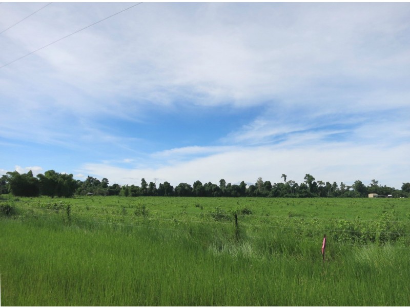 Lot 1 Ellerbeck Road, Carruchan QLD 4816