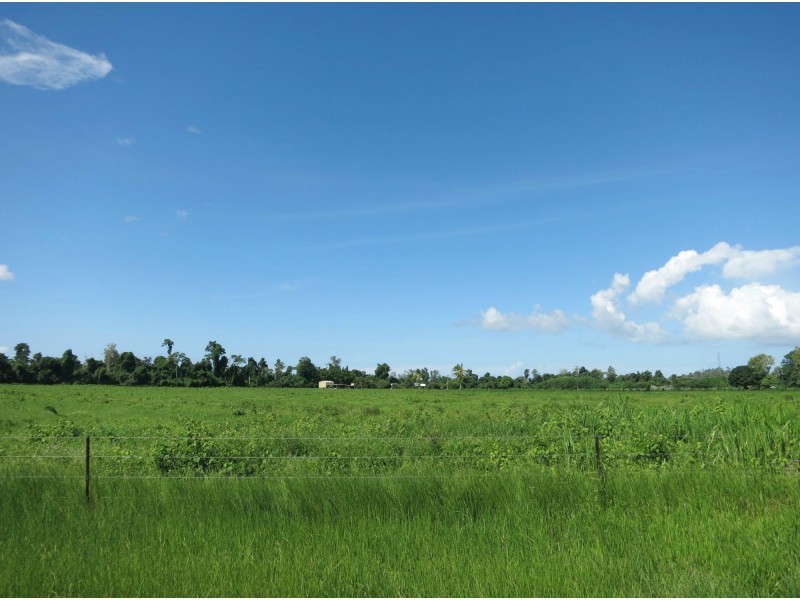 610 Ellerbeck Road, Carruchan QLD 4816