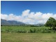 610 Ellerbeck Road, Carruchan QLD 4816