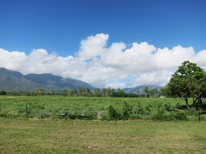 610 Ellerbeck Road, Carruchan QLD 4816