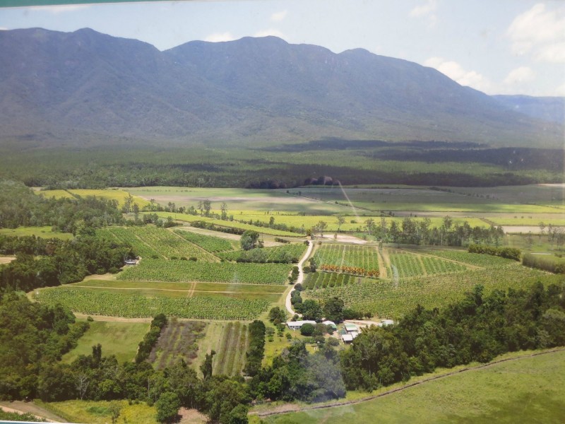 610 Ellerbeck Road, Carruchan QLD 4816