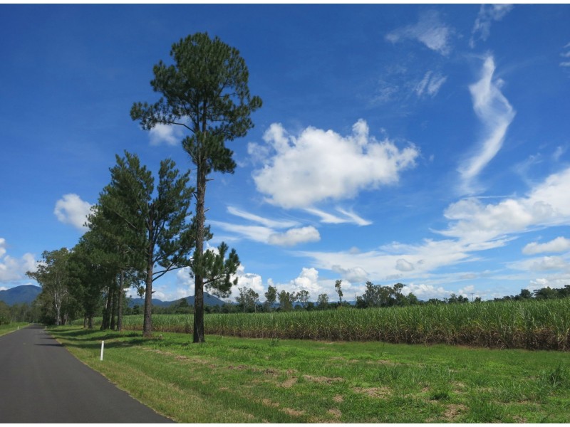 164 Middle Murray Road, Warrami QLD 4854