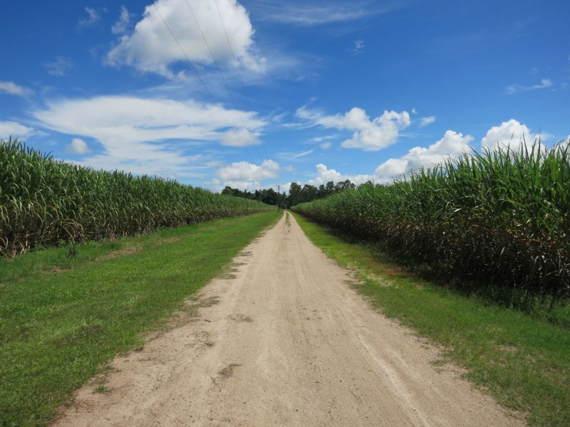 164 Middle Murray Road, Warrami QLD 4854