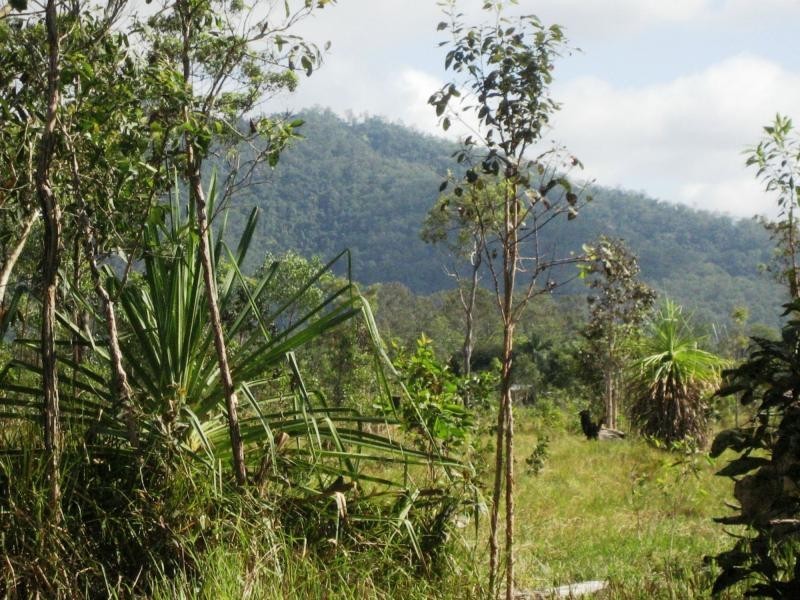 L4 Hamilton Road, Carruchan QLD 4816