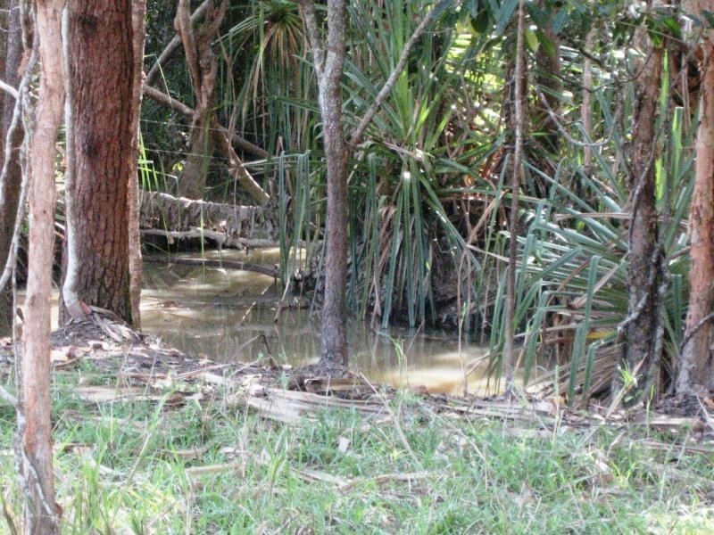 L4 Hamilton Road, Carruchan QLD 4816