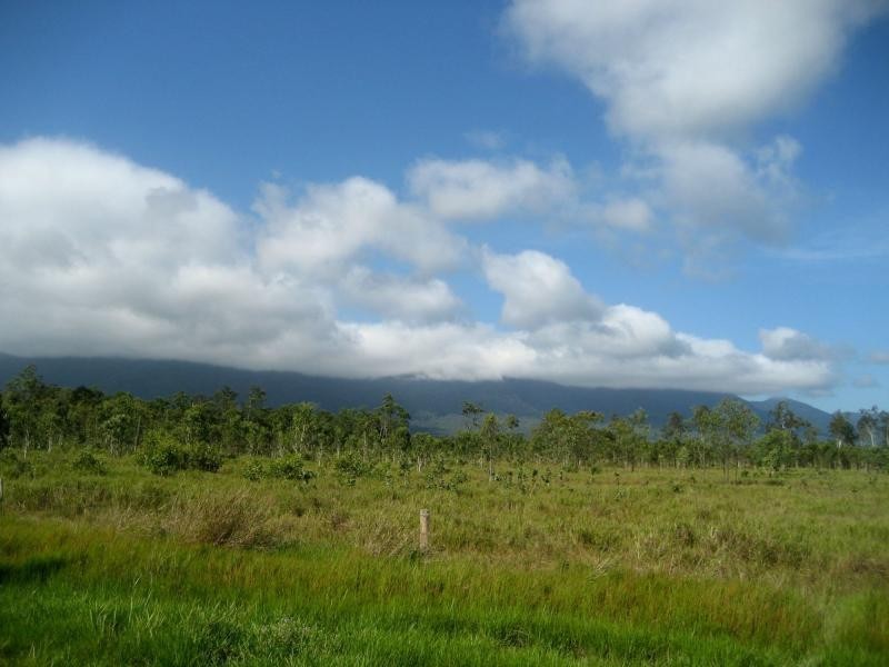 L4 Hamilton Road, Carruchan QLD 4816