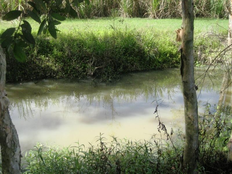 L4 Hamilton Road, Carruchan QLD 4816