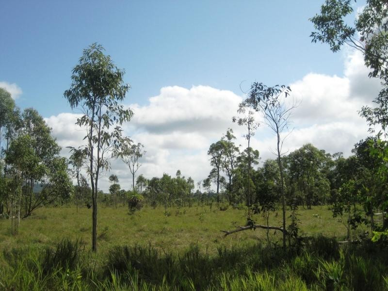 L4 Hamilton Road, Carruchan QLD 4816