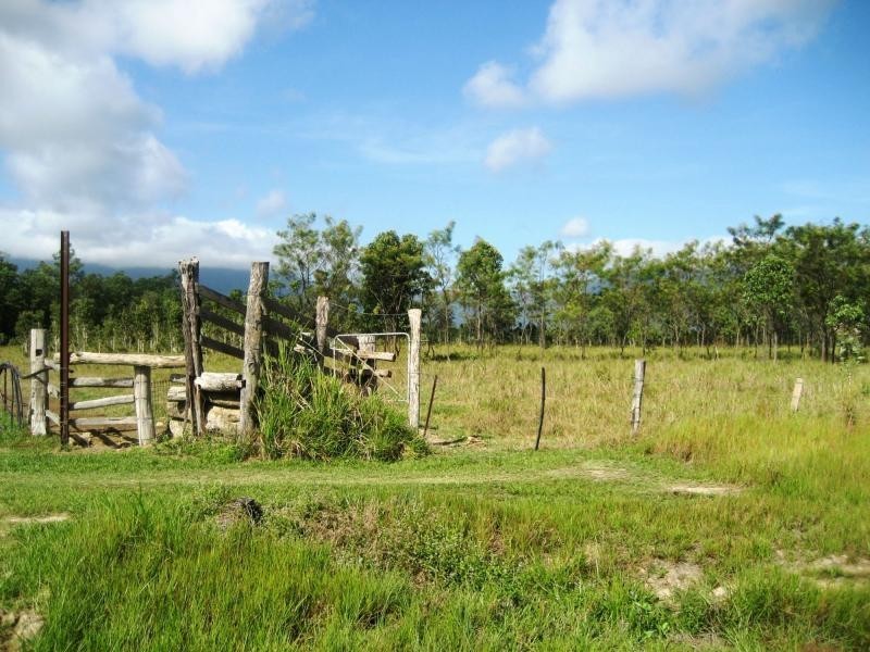 L4 Hamilton Road, Carruchan QLD 4816