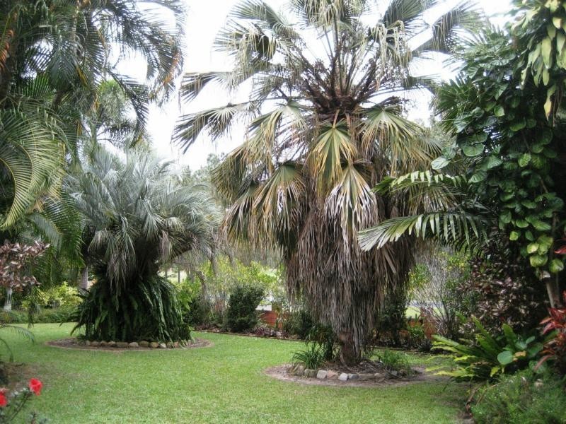 18 Gregory Street, Cardwell QLD 4849