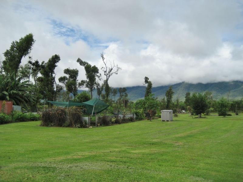 681 Ellerbeck Road, Carruchan QLD 4816