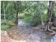 163 Stony Creek Road, Cardwell QLD 4849