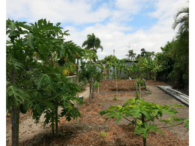 166 Victoria Street, Cardwell QLD 4849