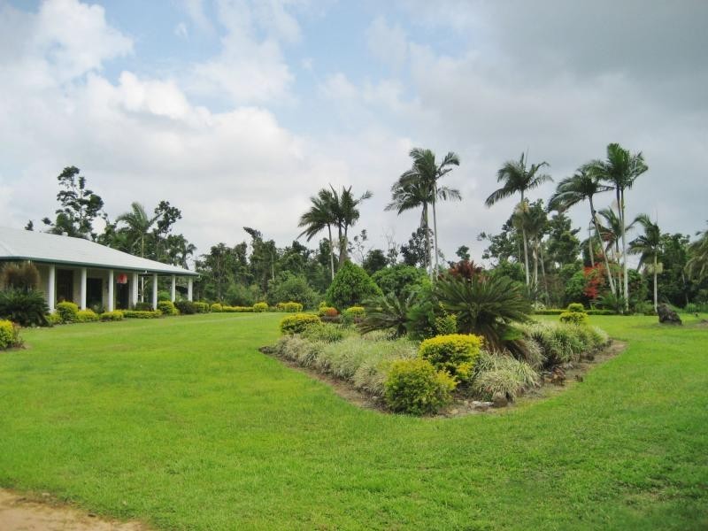 709 Ellerbeck Road, Carruchan QLD 4816