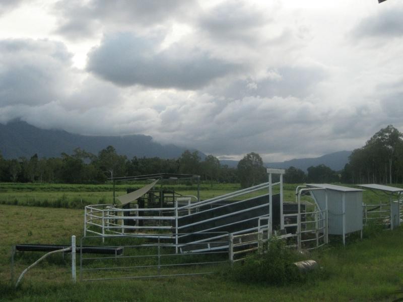 99 Lily Creek Road, Ellerbeck QLD 4816
