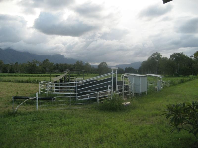 99 Lily Creek Road, Ellerbeck QLD 4816