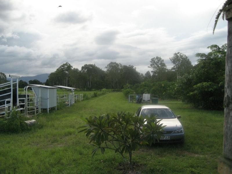 99 Lily Creek Road, Ellerbeck QLD 4816