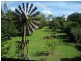 765 Ellerbeck Road, Carruchan QLD 4816