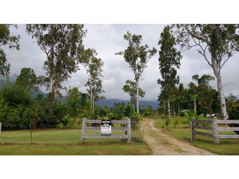 653 Ellerbeck Road, Carruchan QLD 4816