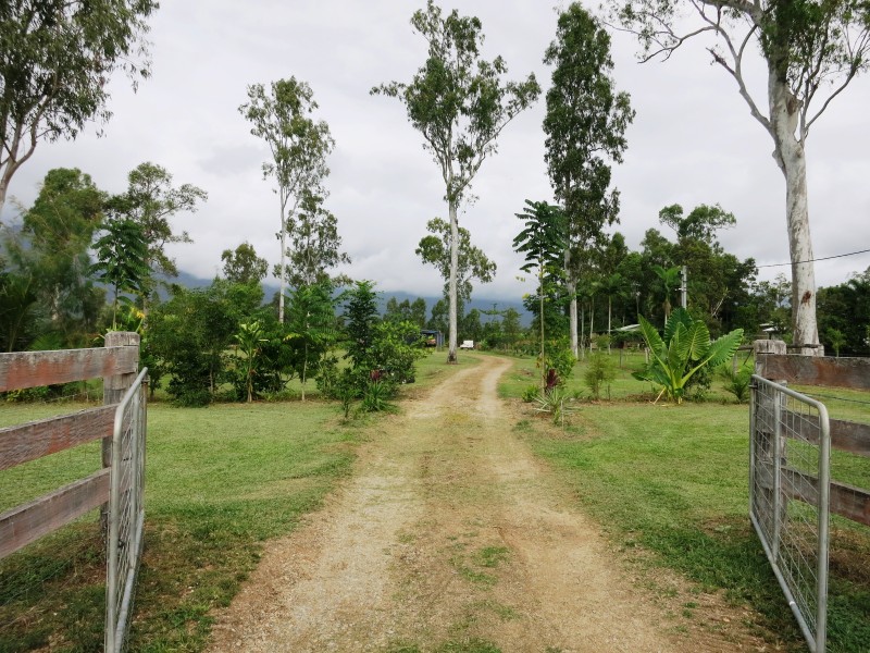 653 Ellerbeck Road, Carruchan QLD 4816