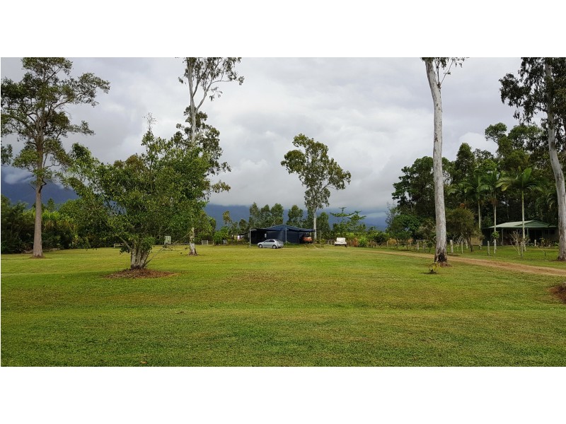 653 Ellerbeck Road, Carruchan QLD 4816