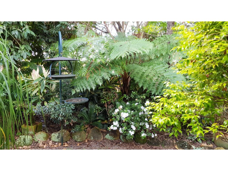 5 Winter St, Cardwell QLD 4849