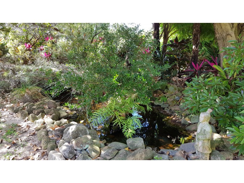 5 Winter St, Cardwell QLD 4849