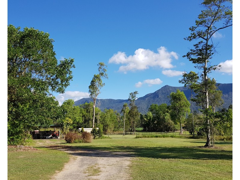 99 Sullivan Rd, Carruchan QLD 4816